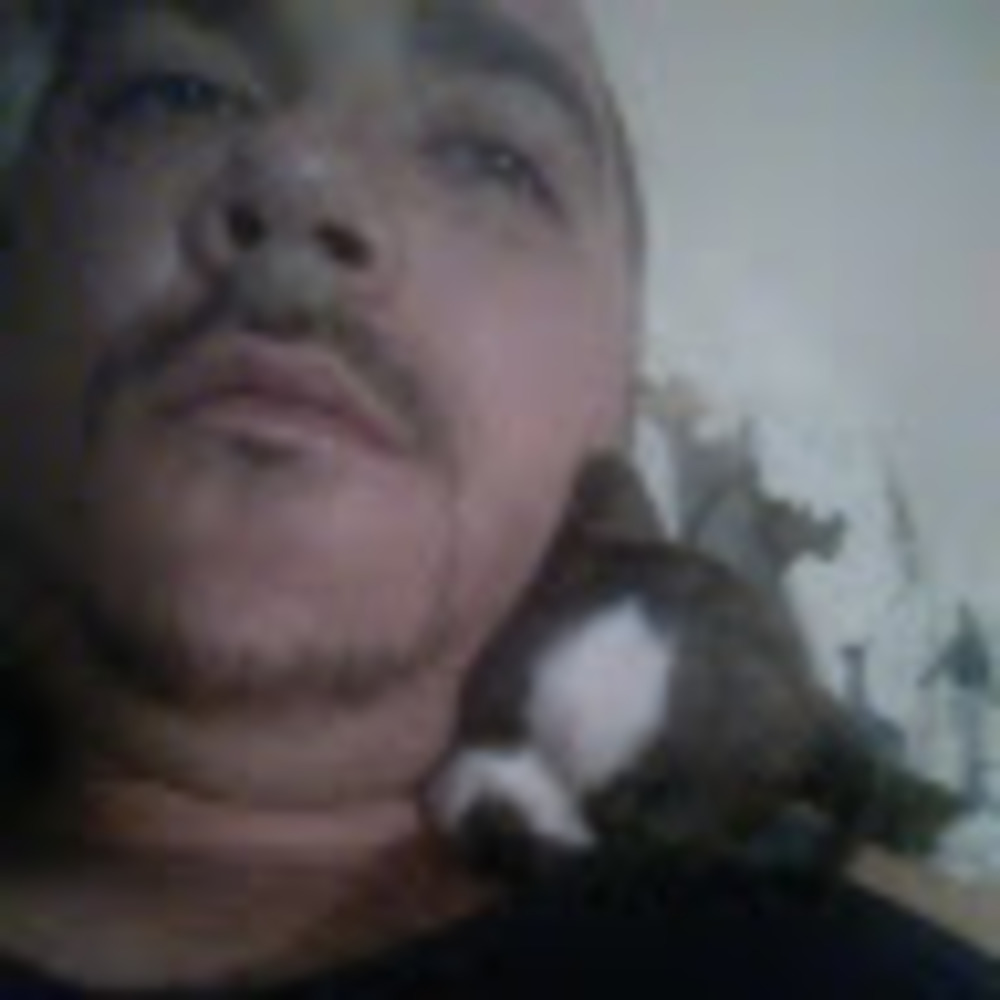 Meet your Posher, Harold